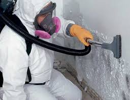 Why You Should Choose Our Mold Remediation Services in Green Valley, MD